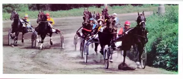 Дмитрий Гуревич - Такие разные кони - Страница № 26