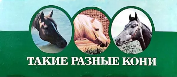 Дмитрий Гуревич - Такие разные кони - Страница № 34