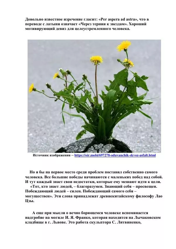 Виктор Шкляр - В поисках формулы жизни - Страница № 10