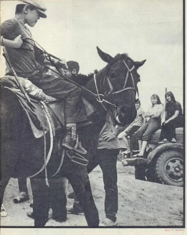  журнал «Семья и школа» - Семья и школа 1974 №10 - Страница № 3