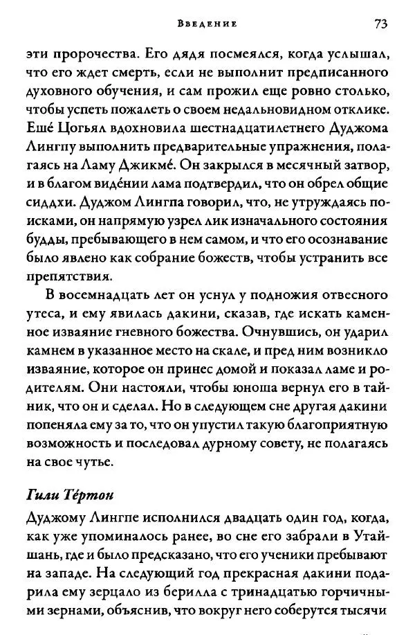 Дуджом Лингпа - Сердце великого совершенства. Том I. - Страница № 75