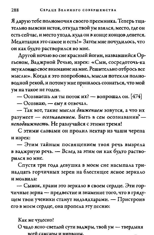 Дуджом Лингпа - Сердце великого совершенства. Том I. - Страница № 283