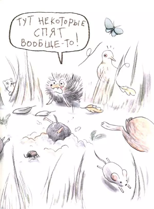 Мажена Сова - Удивленная сова - Страница № 52