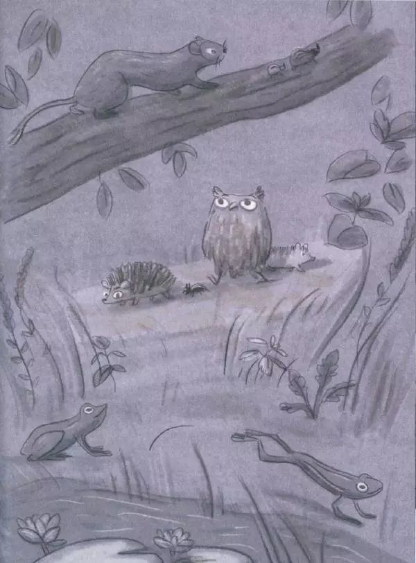 Мажена Сова - Удивленная сова - Страница № 70