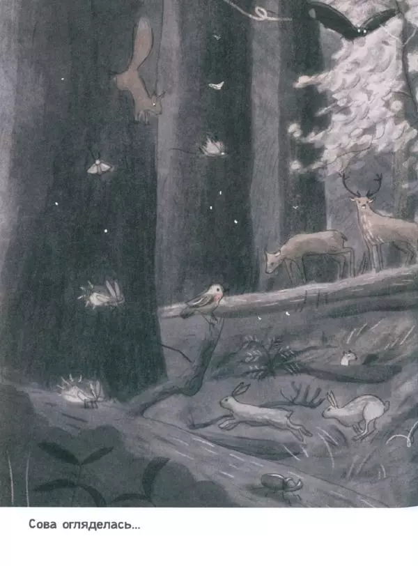 Мажена Сова - Удивленная сова - Страница № 73