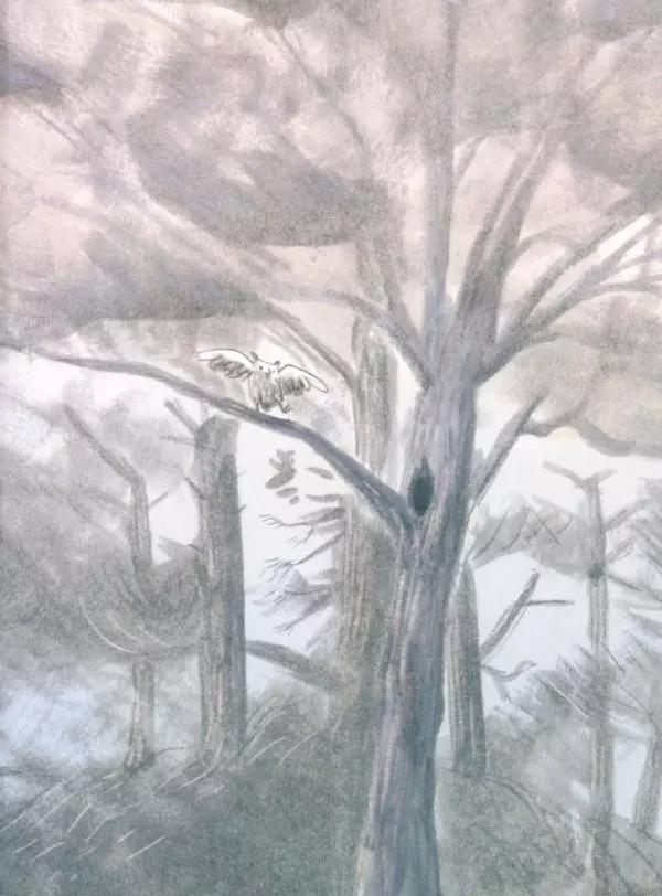 Мажена Сова - Удивленная сова - Страница № 78