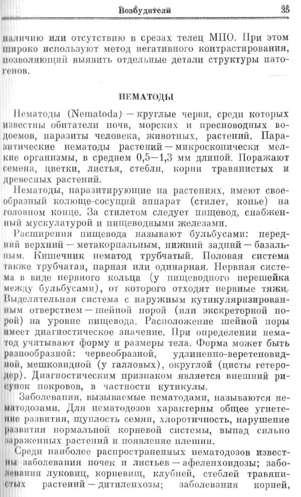  Коллектив авторов - Вредители и болезни цветочно-декоративных растений - Страница № 35