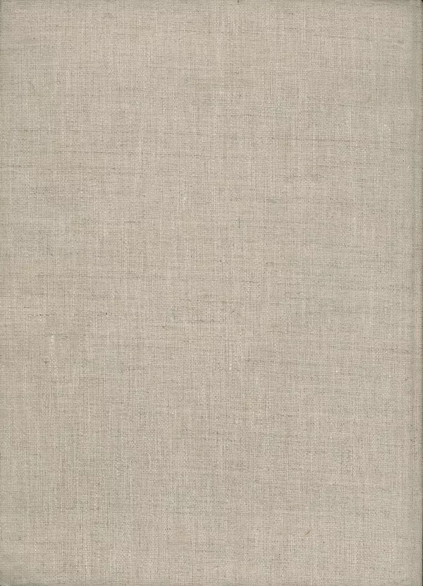 Йозеф Аугуста - Книга о мамонтах - Страница № 102