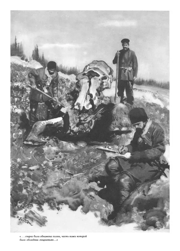 Йозеф Аугуста - Книга о мамонтах - Страница № 14