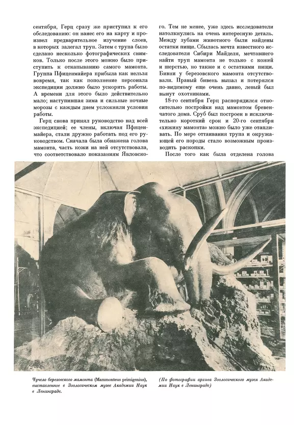Йозеф Аугуста - Книга о мамонтах - Страница № 20
