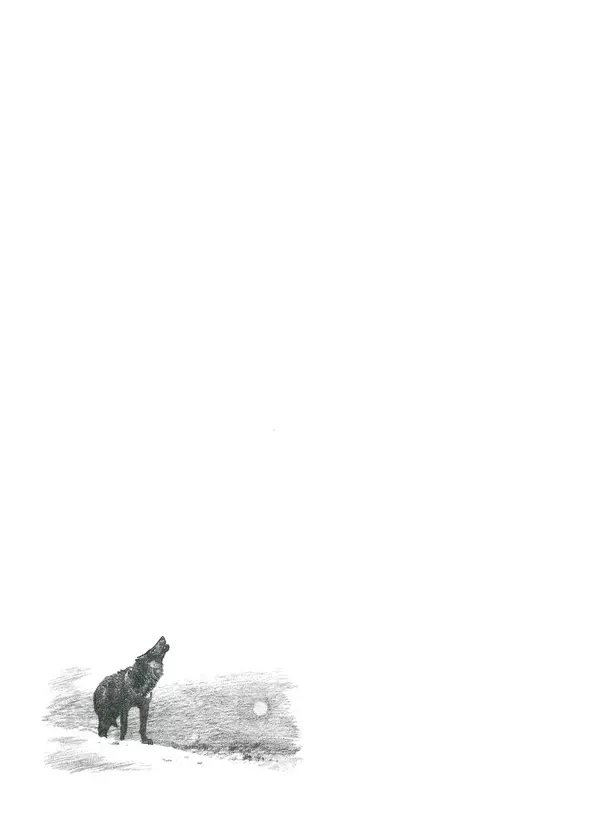 Йозеф Аугуста - Книга о мамонтах - Страница № 61