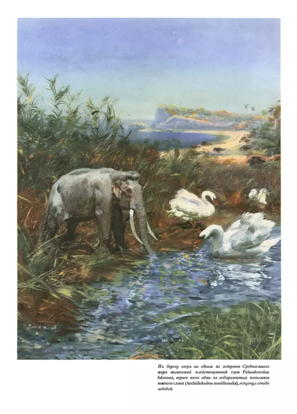 Йозеф Аугуста - Книга о мамонтах - Страница № 78