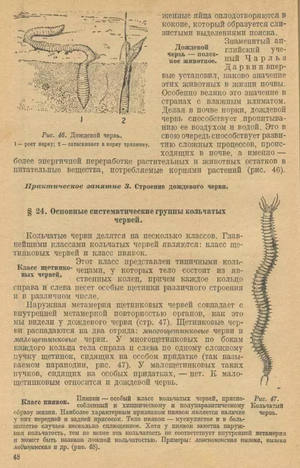 Моисей Цузмер - Зоология. Учебник для 6-7 классы неполной средней и средней школы - Страница № 50