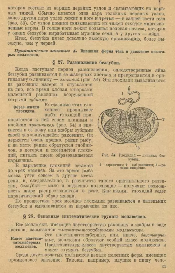 Моисей Цузмер - Зоология. Учебник для 6-7 классы неполной средней и средней школы - Страница № 55