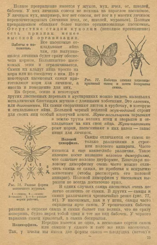 Моисей Цузмер - Зоология. Учебник для 6-7 классы неполной средней и средней школы - Страница № 77