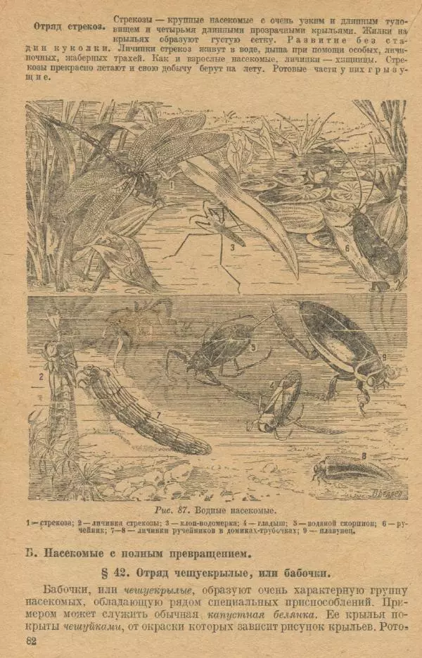 Моисей Цузмер - Зоология. Учебник для 6-7 классы неполной средней и средней школы - Страница № 84