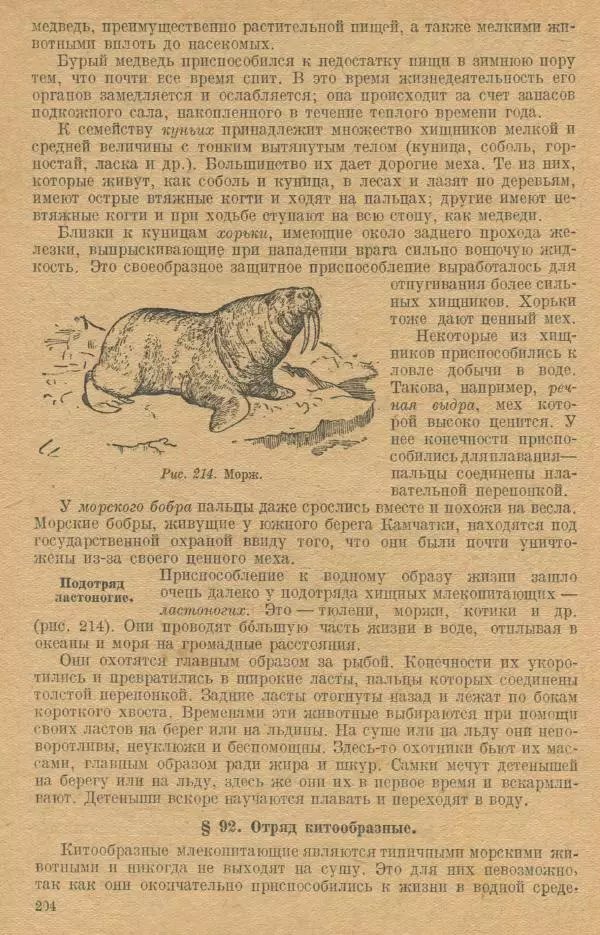 Моисей Цузмер - Зоология. Учебник для 6-7 классы неполной средней и средней школы - Страница № 206