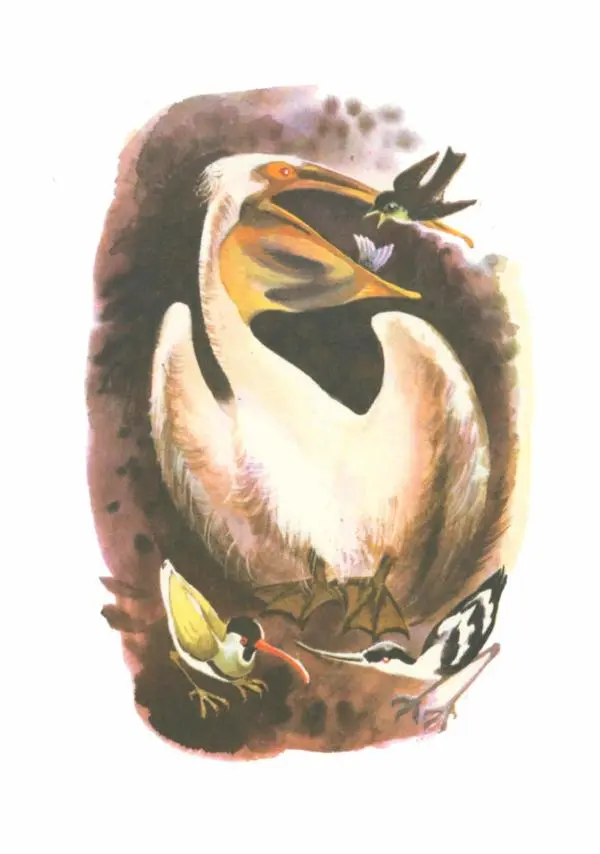 Виталий Бианки - Рассказы и сказки - Страница № 10