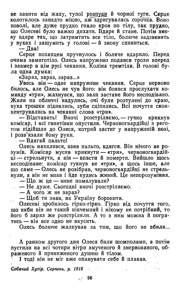 Валер`ян Підмогильний - Оповідання. Повість. Романи - Страница № 58