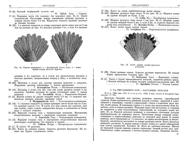  Коллектив авторов - Птицы СССР. Часть 4 - Страница № 11