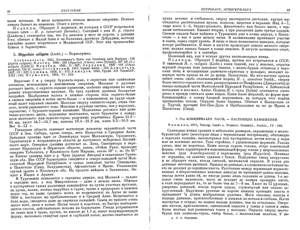  Коллектив авторов - Птицы СССР. Часть 4 - Страница № 26