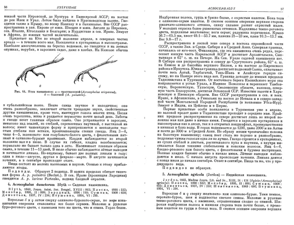  Коллектив авторов - Птицы</p> --