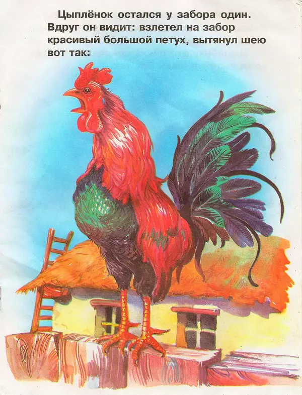 Корней Чуковский - Цыплёнок - Страница № 7