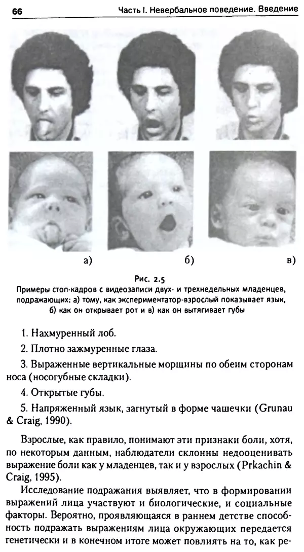 Марк Нэпп - Невербальное общение - Страница № 66
