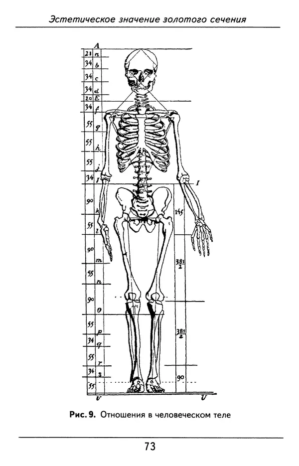 Генрих Тимердинг - Золотое сечение - Страница № 74
