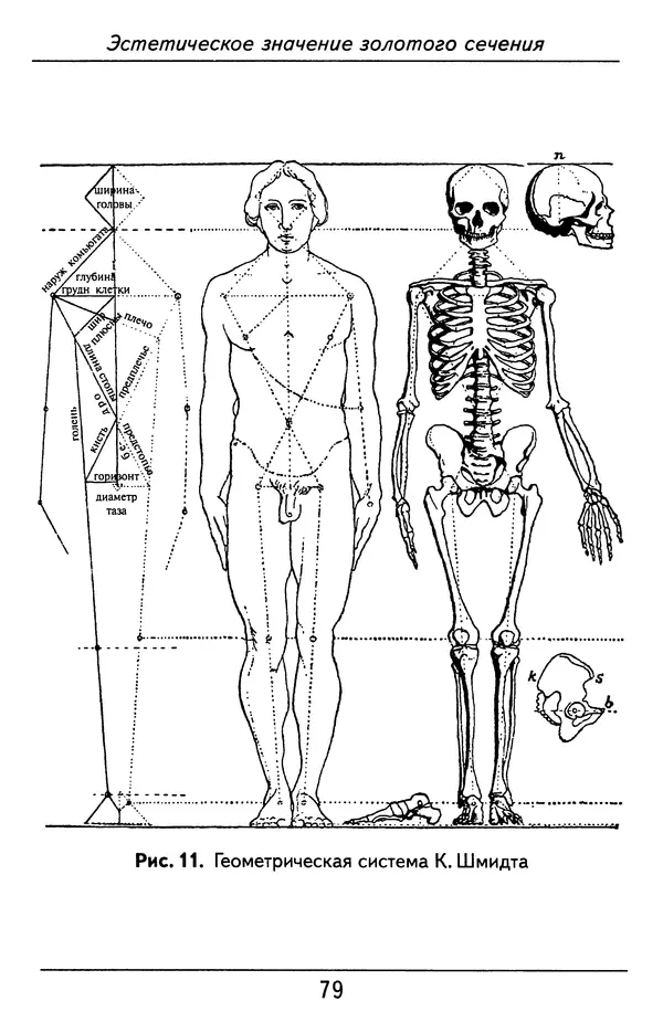 Генрих Тимердинг - Золотое сечение - Страница № 80