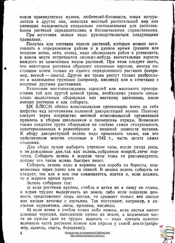 Автор неизвестен - Блюда из дикорастущей зелени - Страница № 6