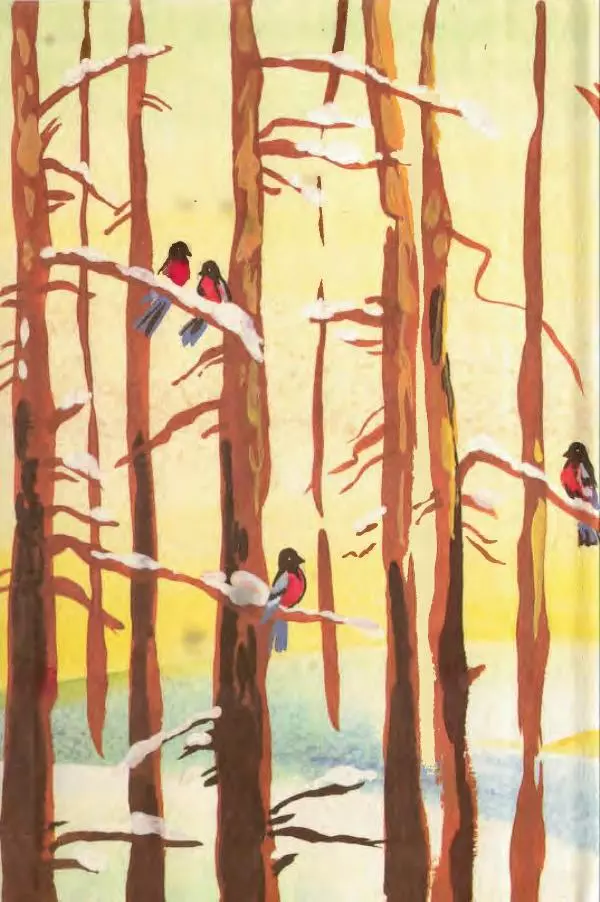 Сакариас Топелиус - Звездоглазка - Страница № 2