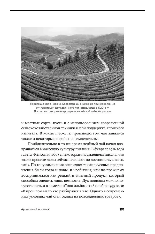 Андрей Ланьков - Не только кимчхи - Страница № 191