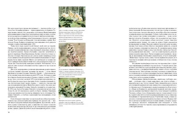 Конрад Лоренц - Год серого гуся - Страница № 17