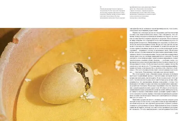 Конрад Лоренц - Год серого гуся - Страница № 67