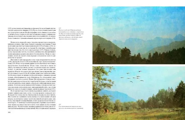 Конрад Лоренц - Год серого гуся - Страница № 82