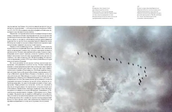 Конрад Лоренц - Год серого гуся - Страница № 85