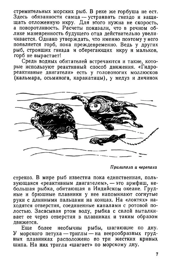 Виктор Сабунаев - Занимательная ихтиология - Страница № 8