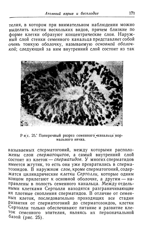 Хадзима Мацуда - Ядерное оружие и человек - Страница № 171