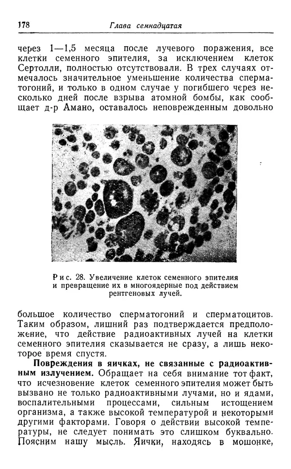 Хадзима Мацуда - Ядерное оружие и человек - Страница № 178