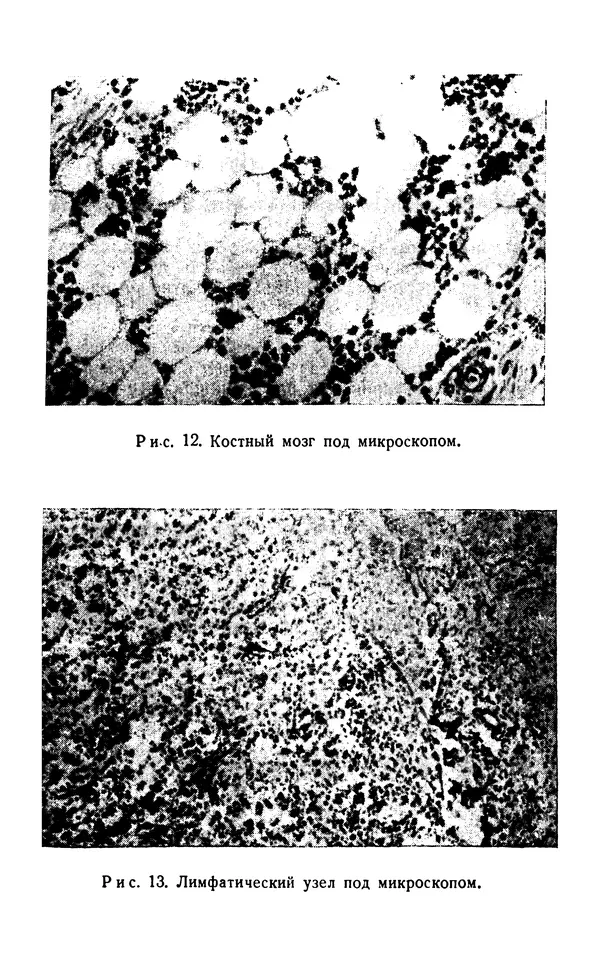 Хадзима Мацуда - Ядерное оружие и человек - Страница № 89