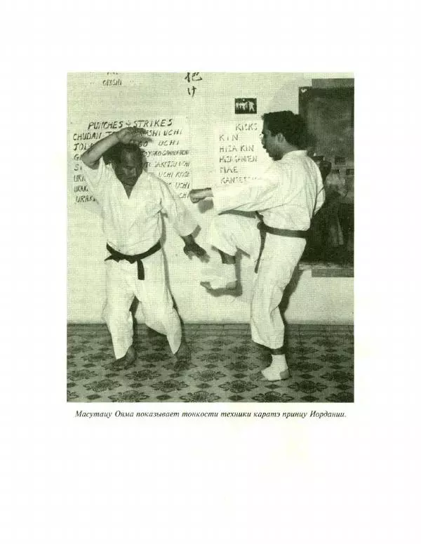 Масутацу Ояма - Классическое каратэ - Страница № 7