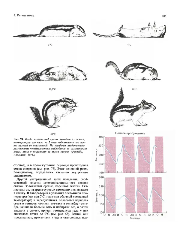 Флойд Блум - Мозг, разум и поведение - Страница № 106