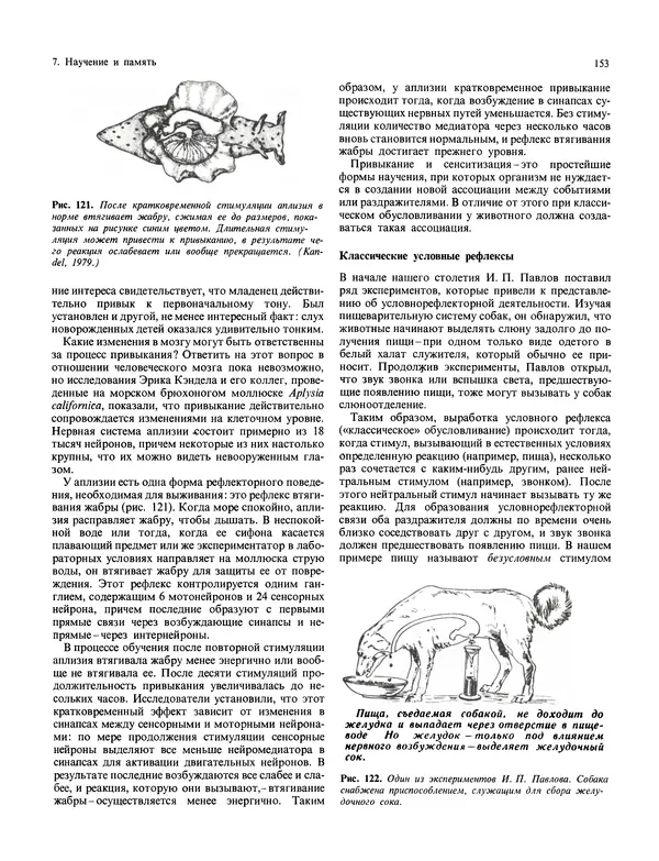 Флойд Блум - Мозг, разум и поведение - Страница № 154