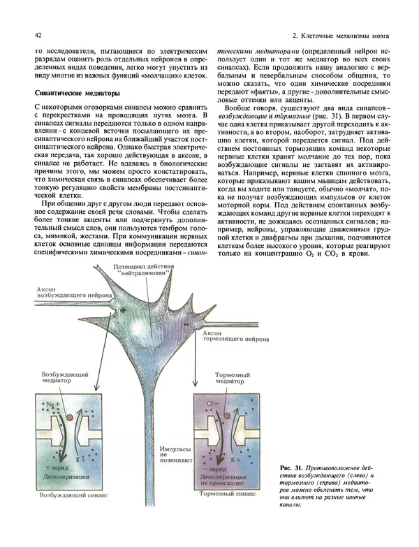 Флойд Блум - Мозг, разум и поведение - Страница № 43