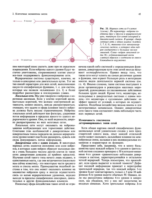 Флойд Блум - Мозг, разум и поведение - Страница № 46