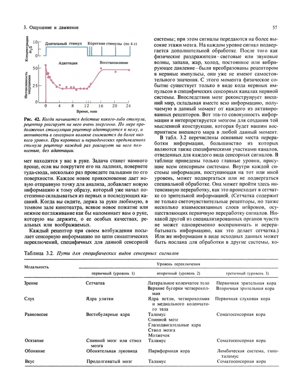 Флойд Блум - Мозг, разум и поведение - Страница № 58