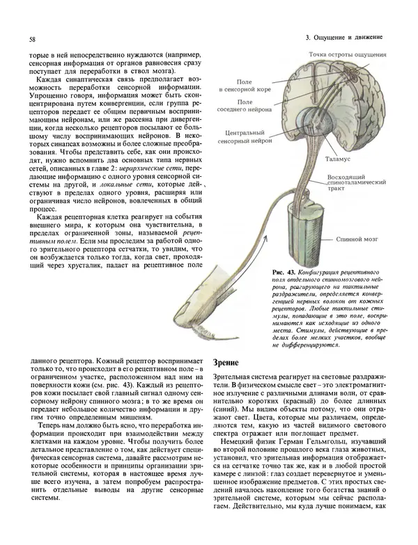 Флойд Блум - Мозг, разум и поведение - Страница № 59
