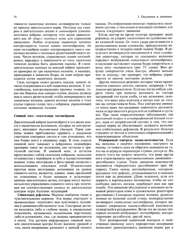 Флойд Блум - Мозг, разум и поведение - Страница № 75