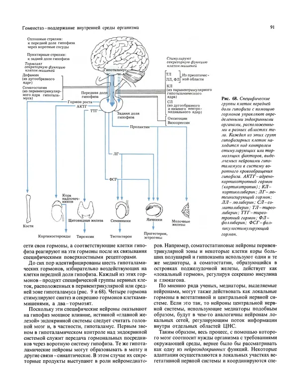 Флойд Блум - Мозг, разум и поведение - Страница № 92